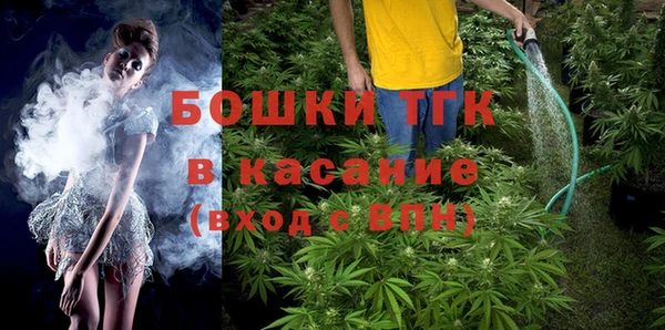 сатива Алзамай