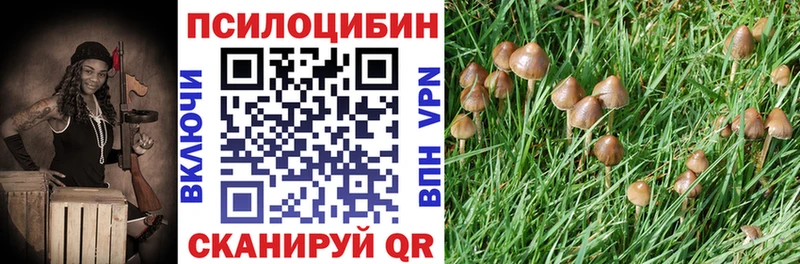 где найти   Трёхгорный  Галлюциногенные грибы GOLDEN TEACHER 